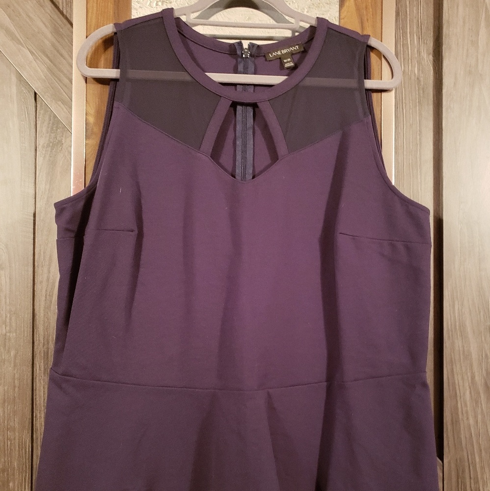 Lane Bryant Peplum Top